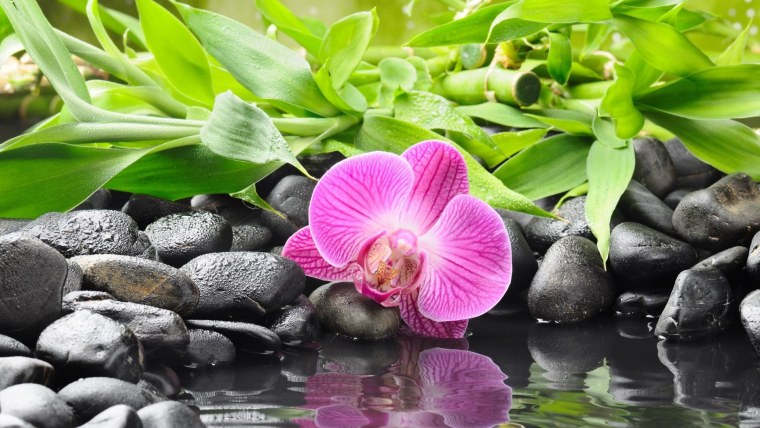 Обои на рабочий стол HD