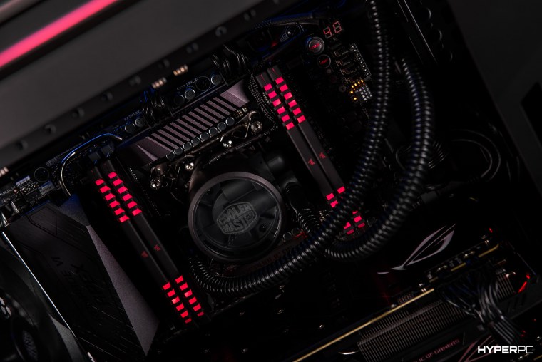 Обои на рабочий стол кошки