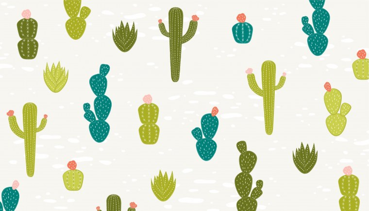 Обои с кактусами милые