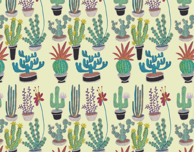 Кактус рисунок