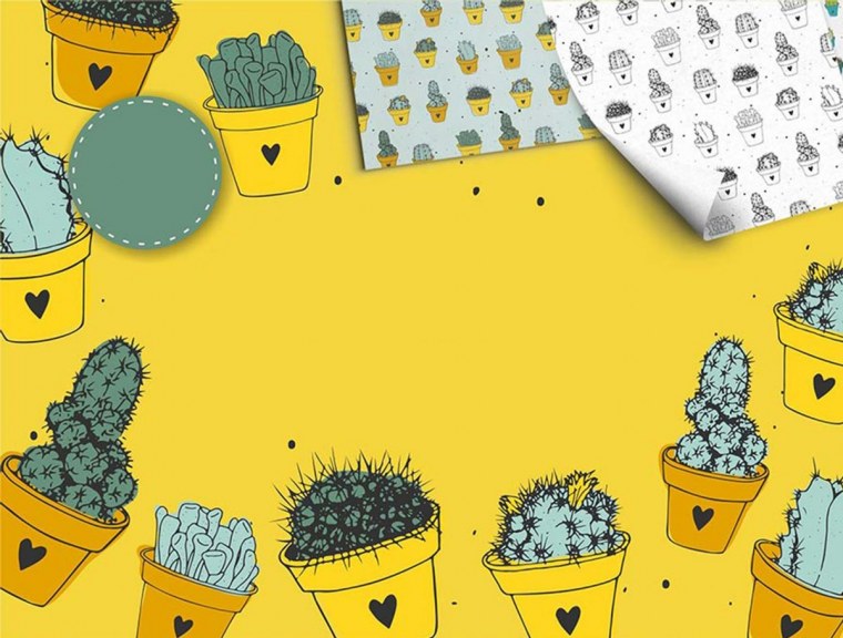 Кактусы красивые милые