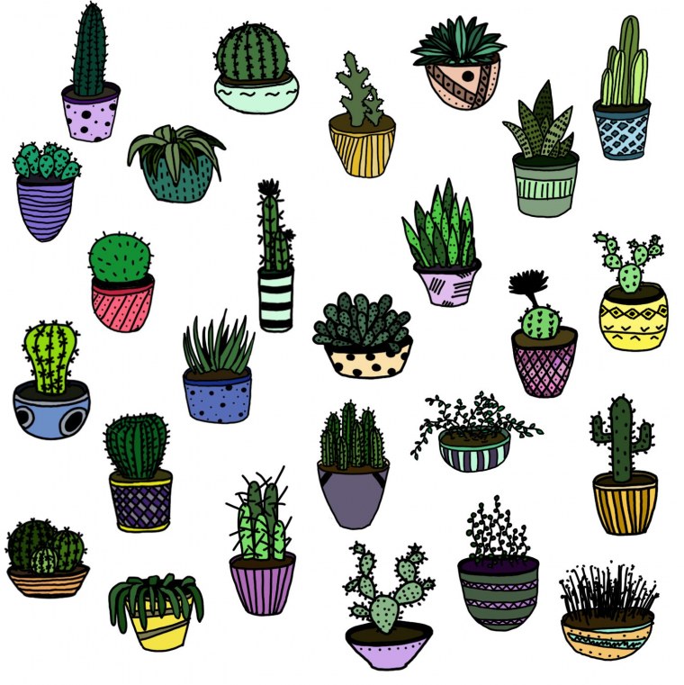 Милые кактусы