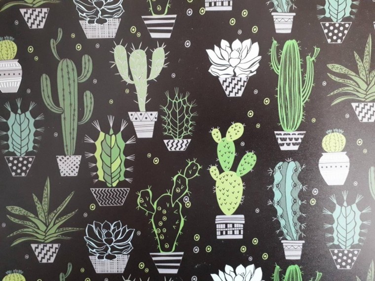 Обложка для тетради с кактусами