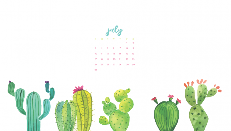 Обои с кактусами