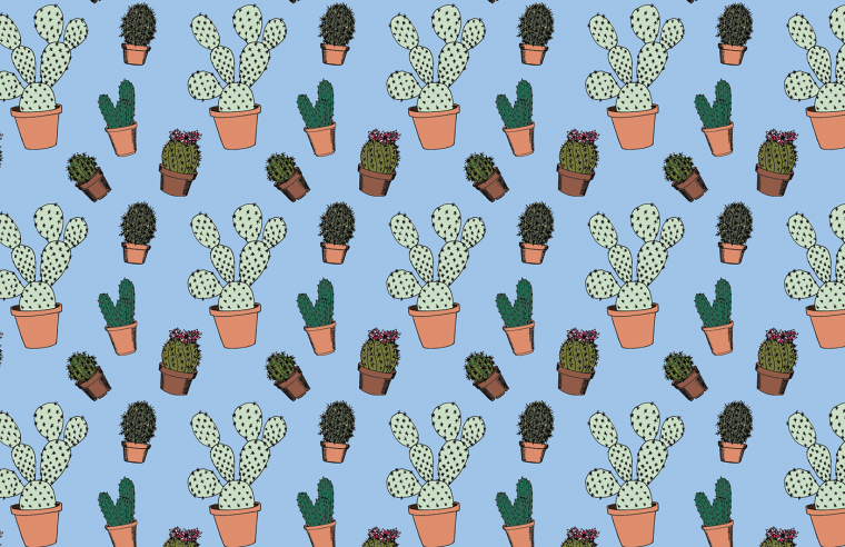 Детские обои Кактус