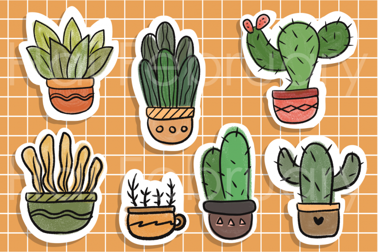 Кактус в пустыне