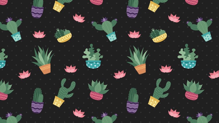 Фон кактусы