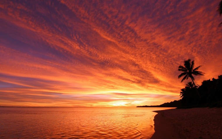 Море закат птицы