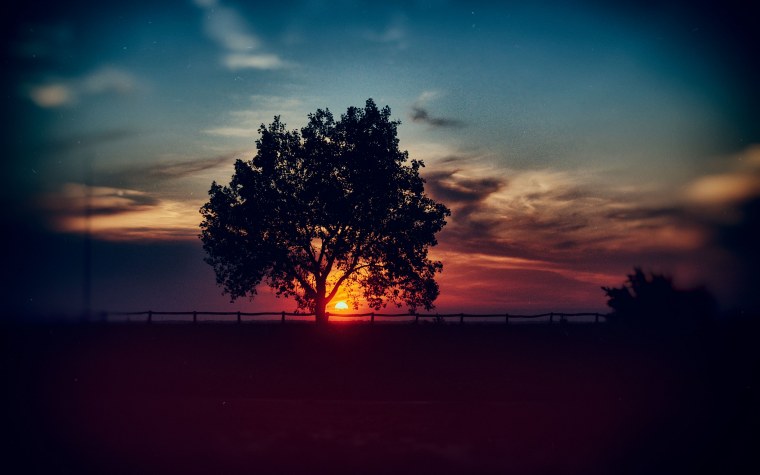 Ветер закат