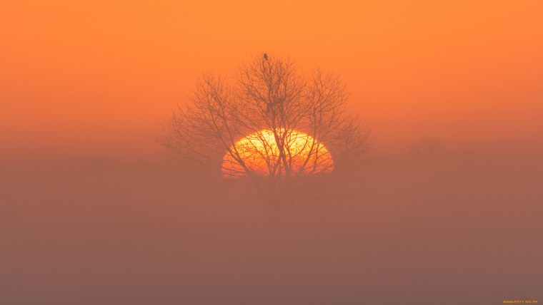 Океан закат тропики