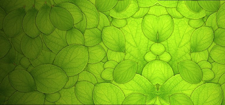 Увадрев фисташковый u6501