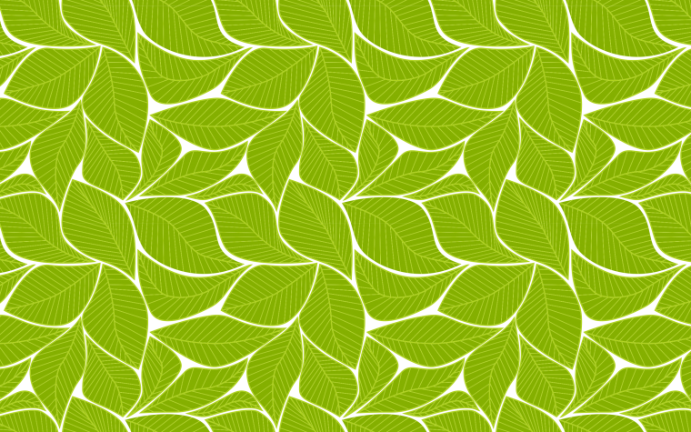 Светлый хаки цвет