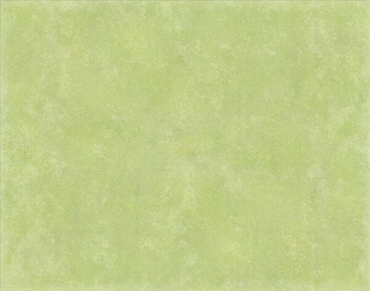 Риф лайм пленка ПВХ