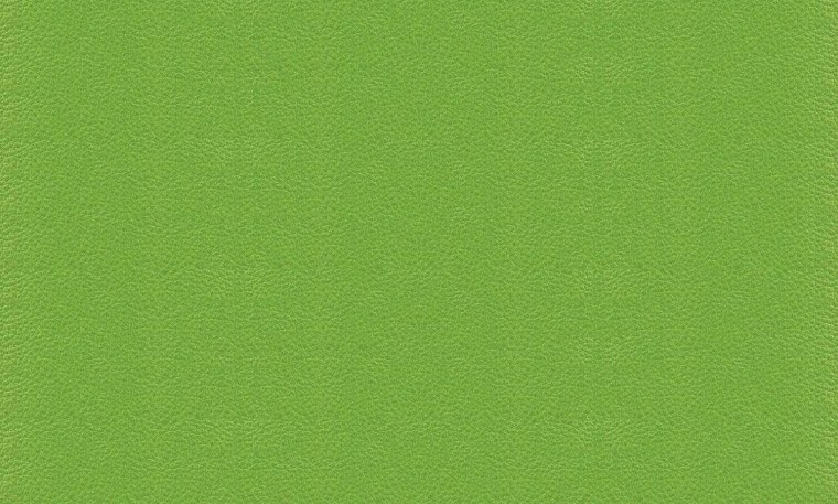 Фисташковый u6501