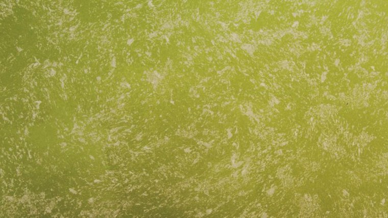 Светло зеленая текстура