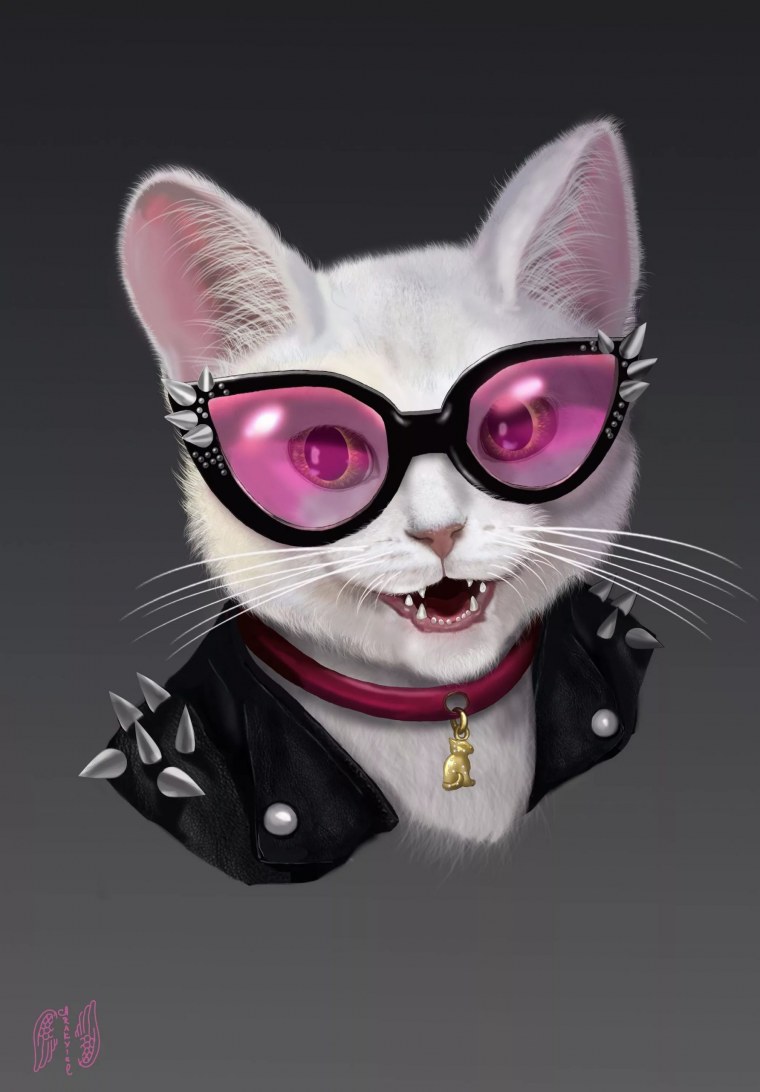 Обои на рабочий стол прикольные