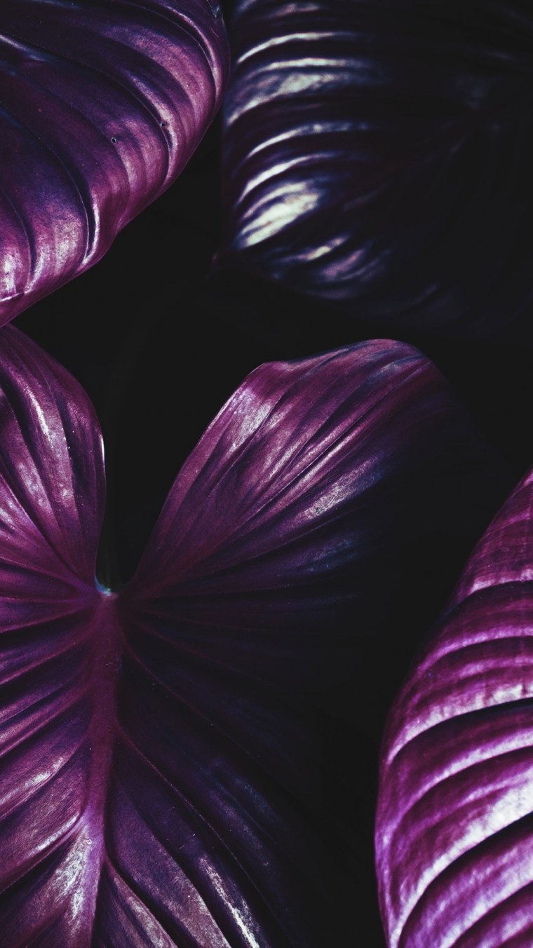 Обои с разводами