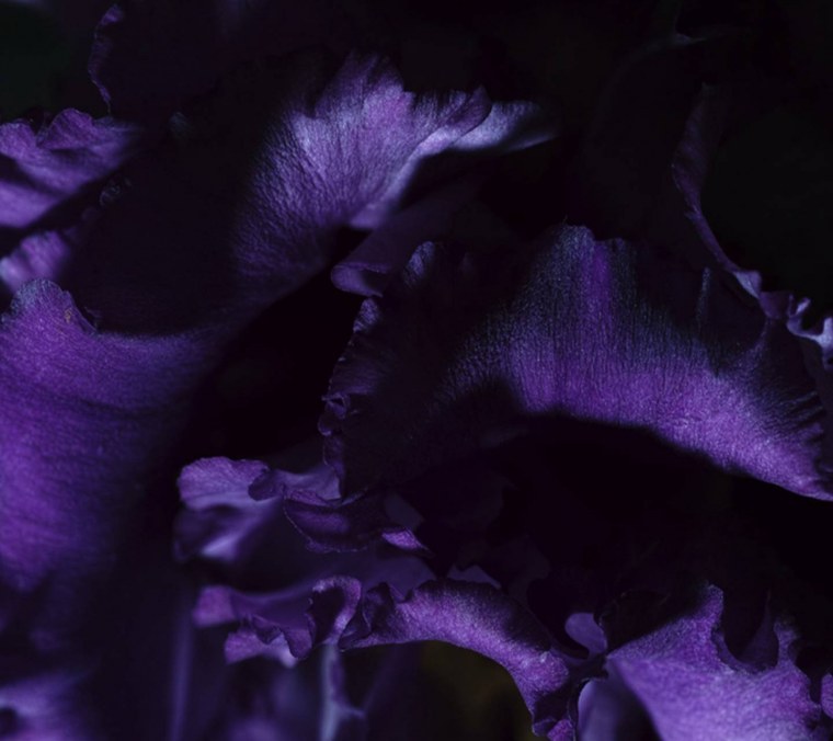 Фон в фиолетовом стиле