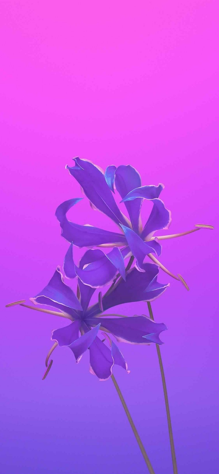 Iphone 11 Purple и iphone 12 Purple