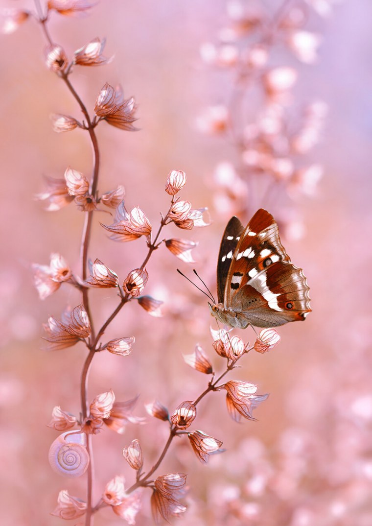 Картинки на аву природа