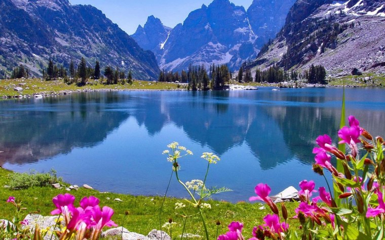 Весенние бабочки