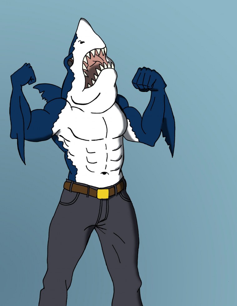 Мышцы акулы