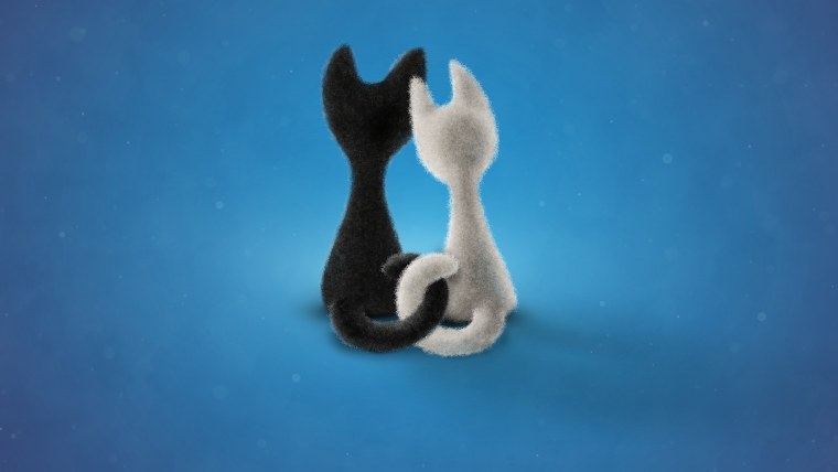 Прикольные обои