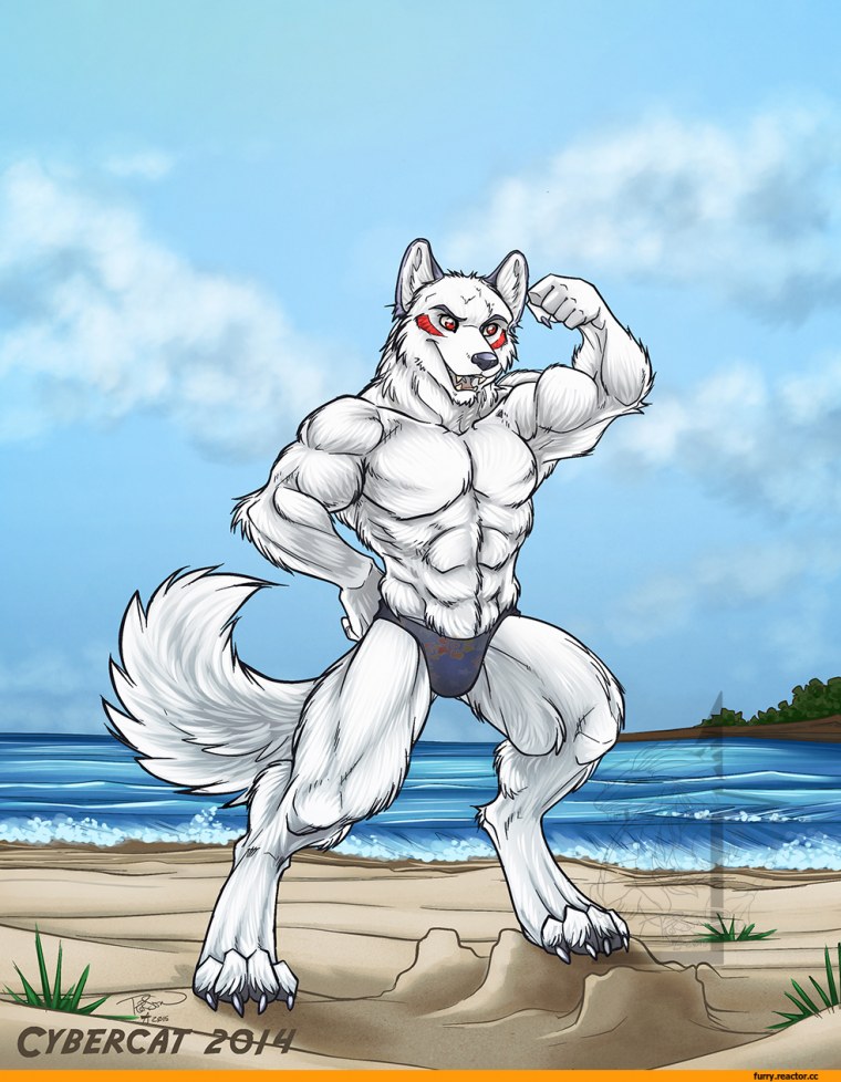 Мускулистый волк