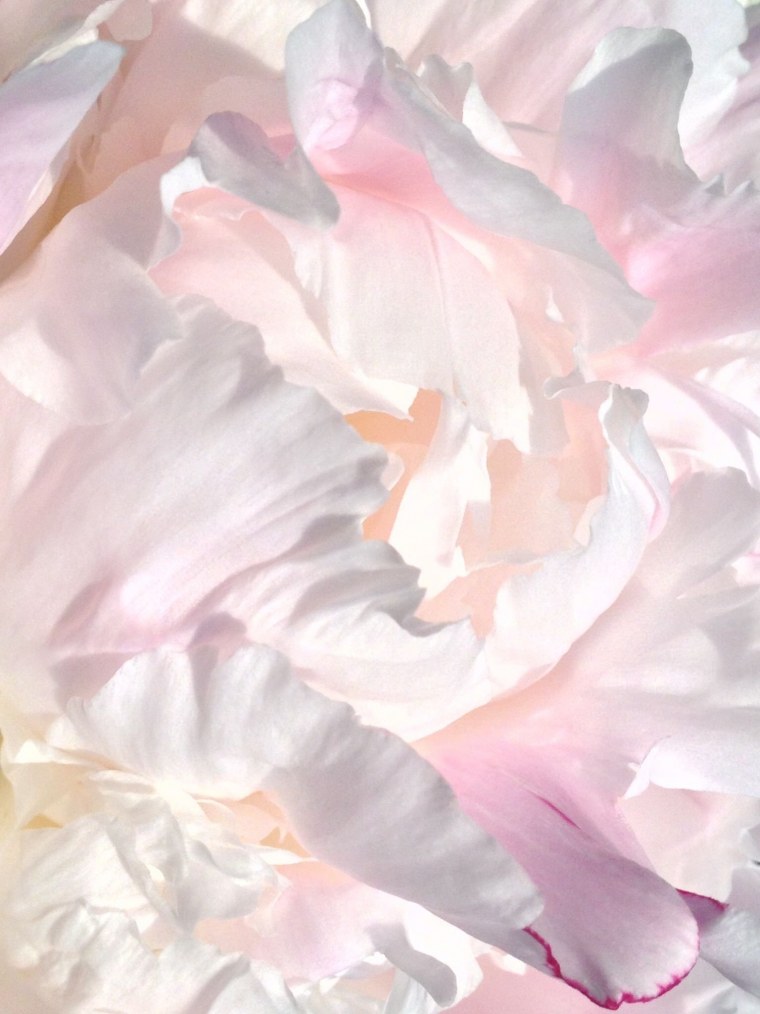 Море в пастельных тонах