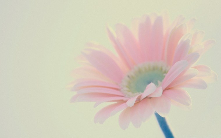 Эстетика пастельных тонов