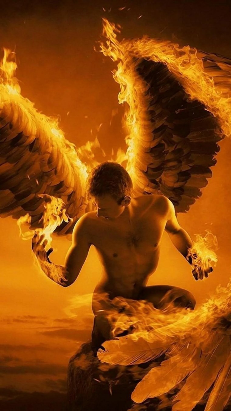 Тень ангела