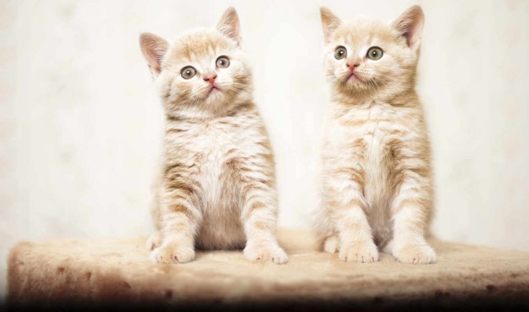 Заставка на рабочий стол Минимализм