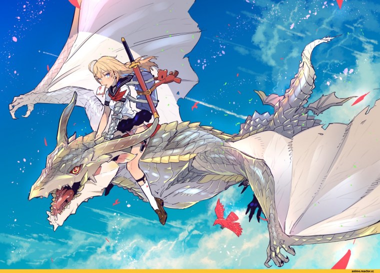 Любимец драконов аниме