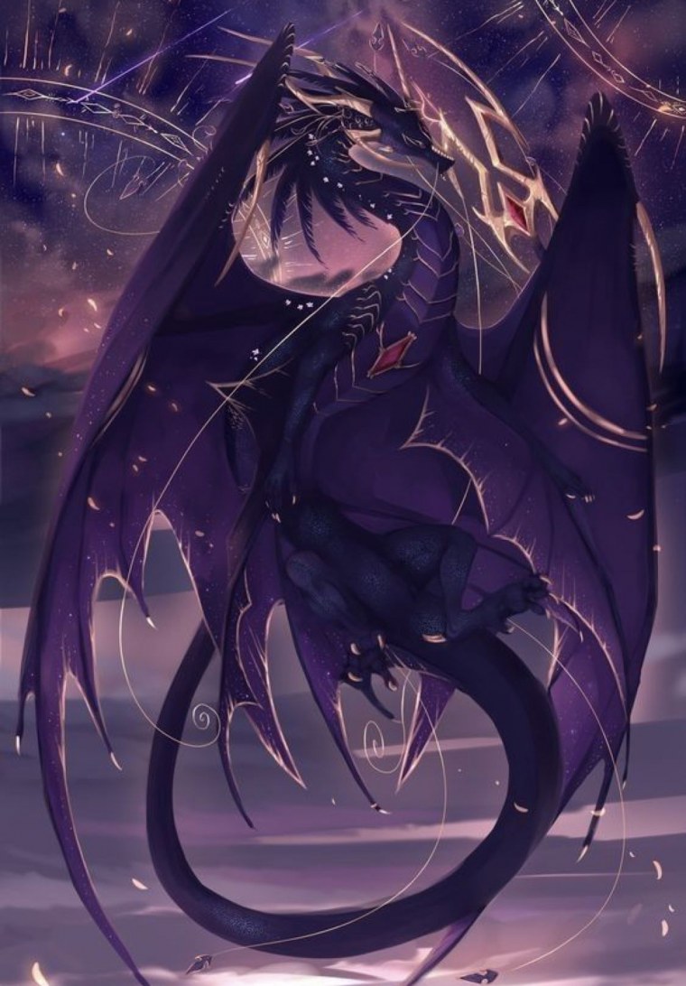 Любимец драконов аниме