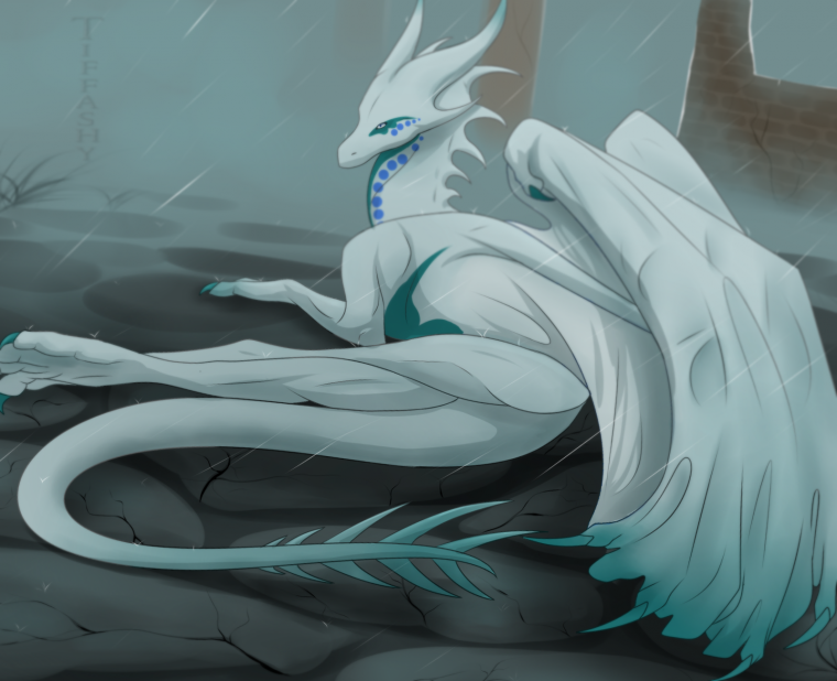 Любимец драконов аниме