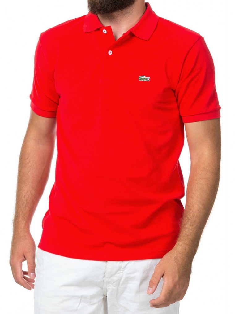 Поло Беар т ширт