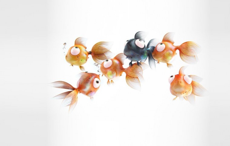 Золотые рыбки фен шуй