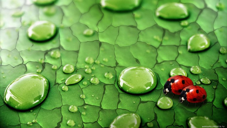 Прикольный фон