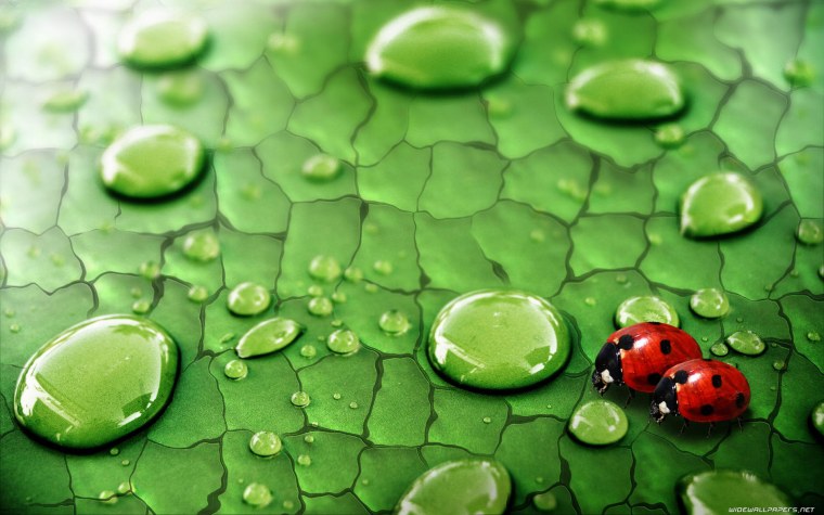 Ниссан Скайлайн ГТР 35