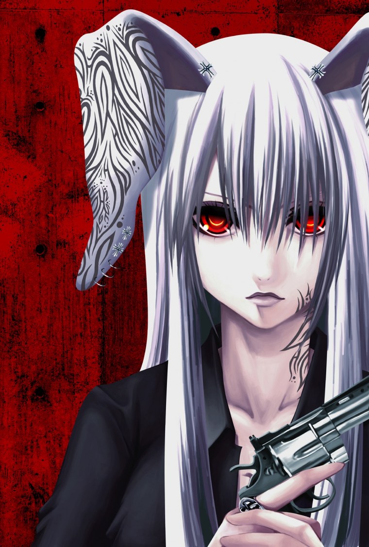 Аниме арты ЭПИК акаме