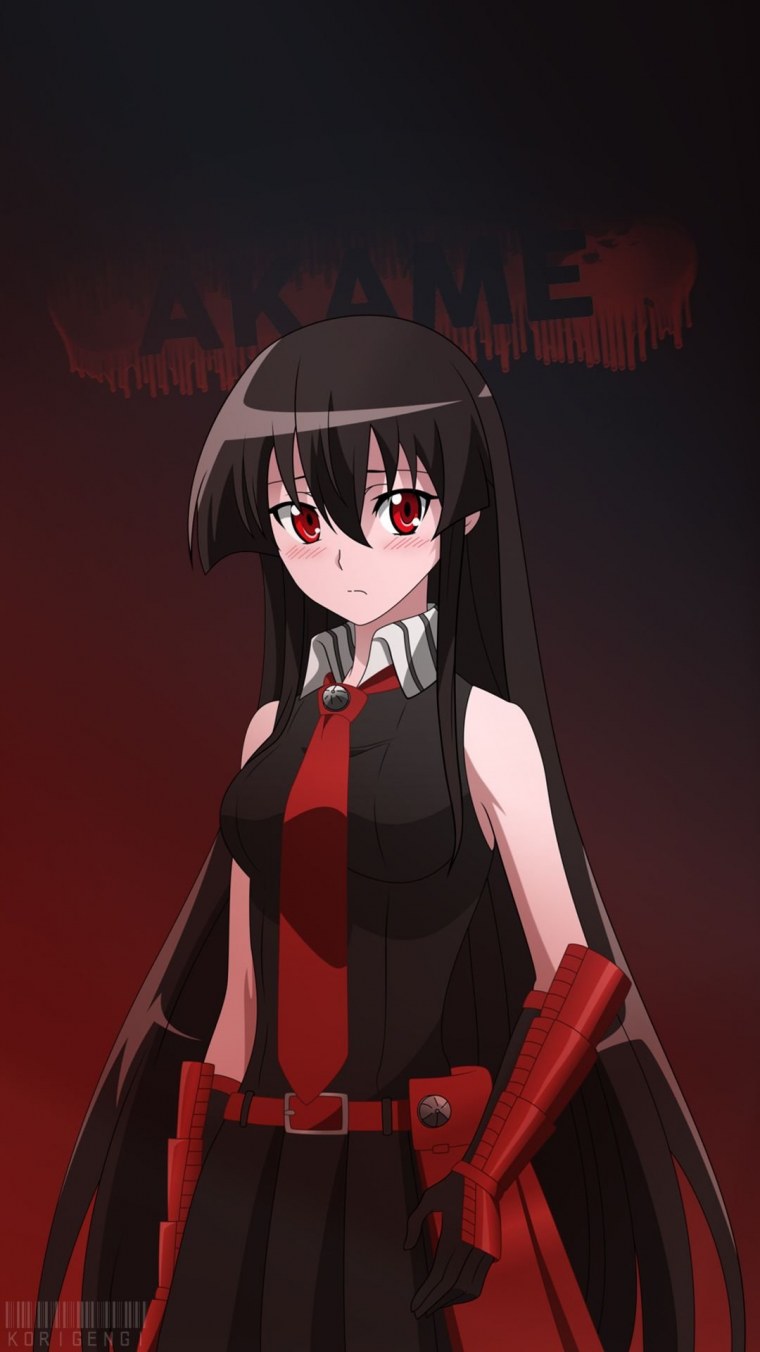 Убийца акаме арт