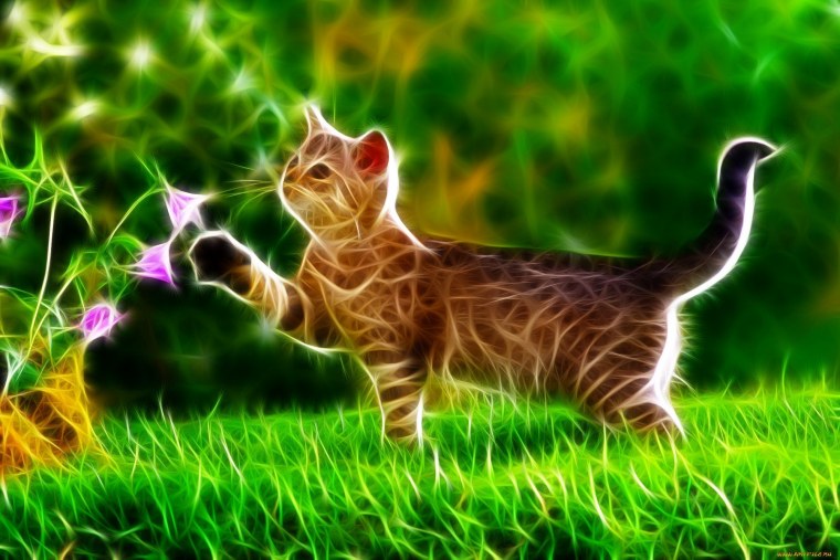 Интерактивные обои