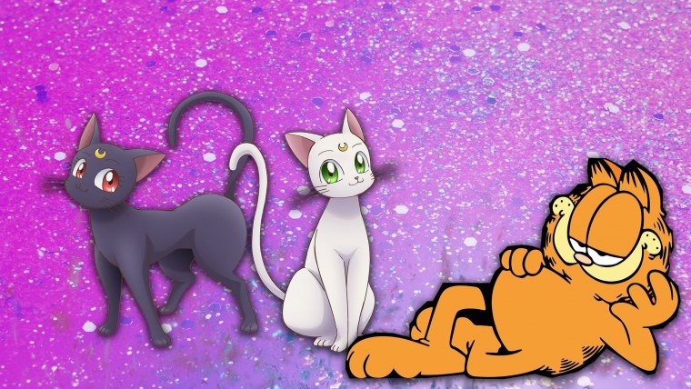 Котик на экране смартфона