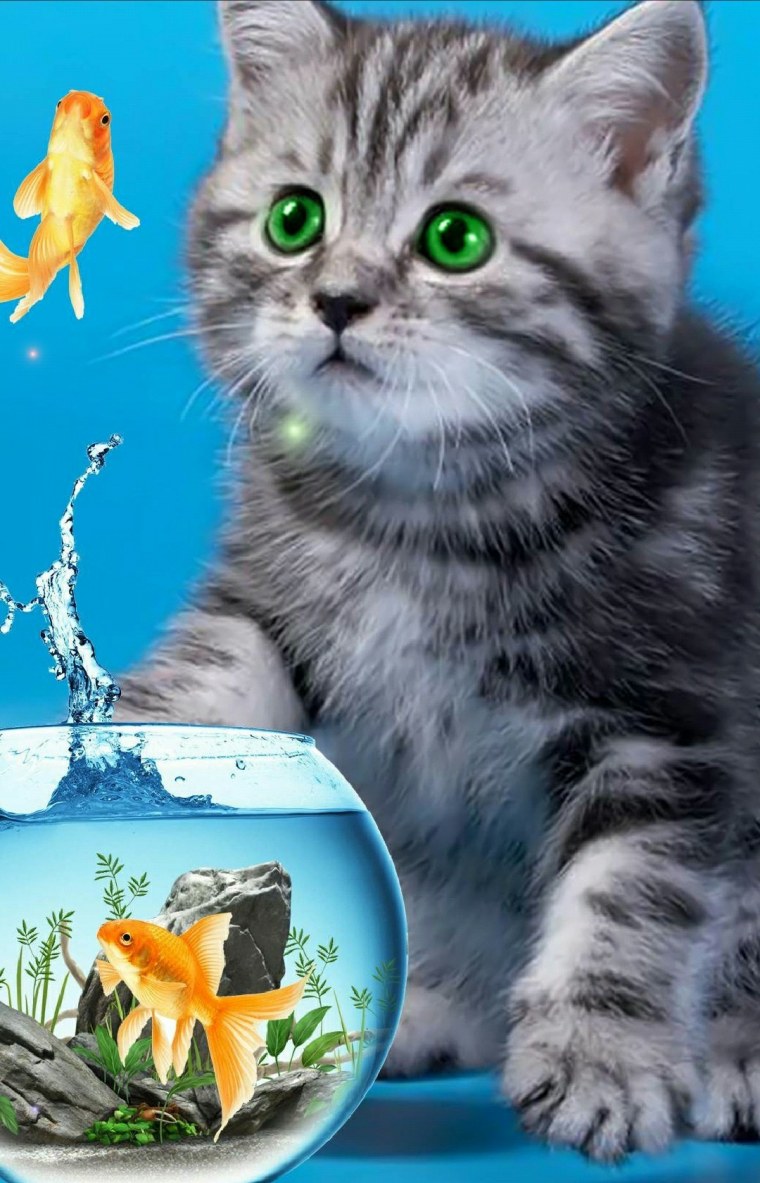 Котенок на зеленом фоне