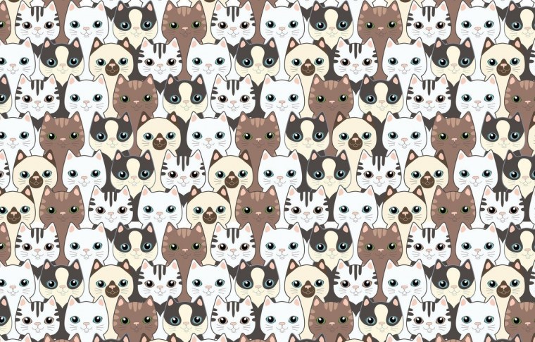 Кролик Минимализм