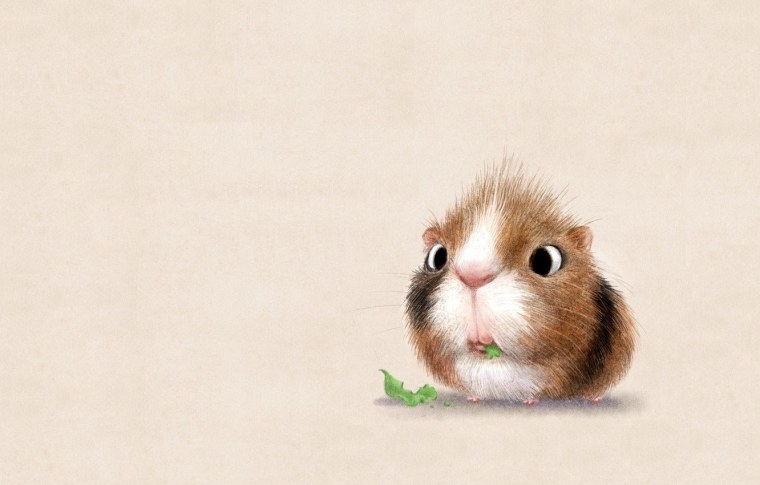 Фон для рабочего стола лиса