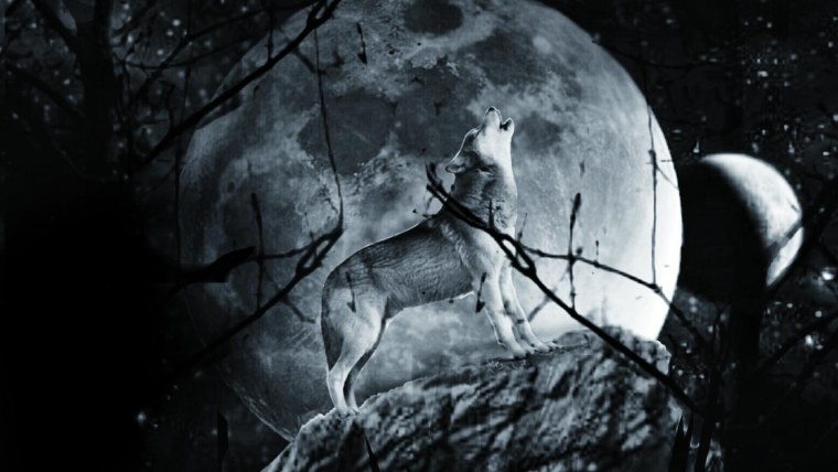 Волки фэнтези красивые