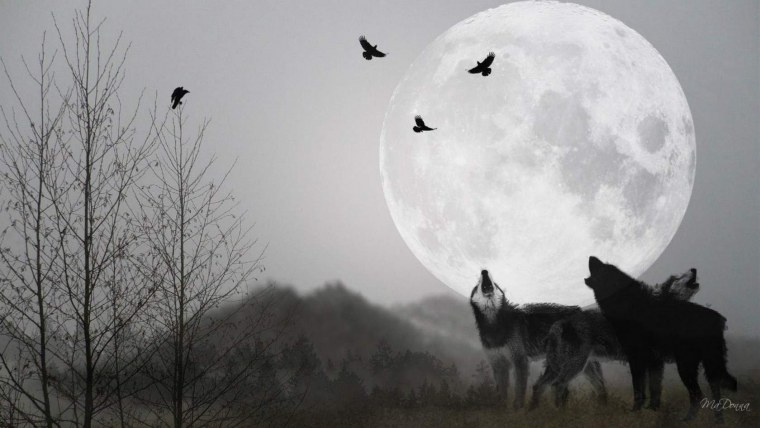 Волк и Луна