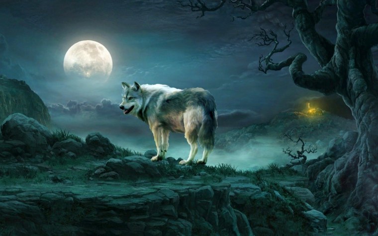 Волк и Луна