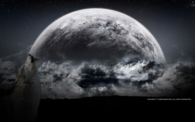 Душа волки воют на луну обои